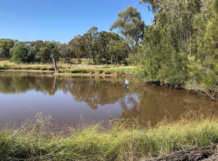 Burrendong Botanic Garden and Arboretum, Australia